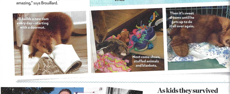 Illustration for article titled This Week in Tabloids: Girls' World is the Only Good Magazine